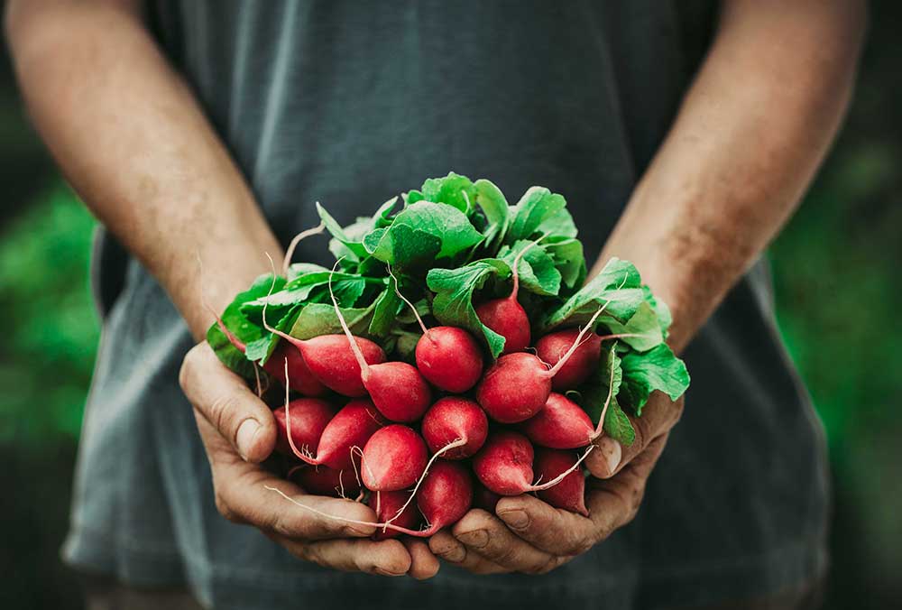 Top Fruit Smoothie Ingredients